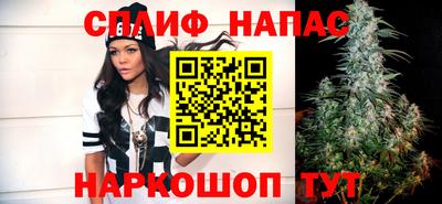 Альфа ПВП Будённовск