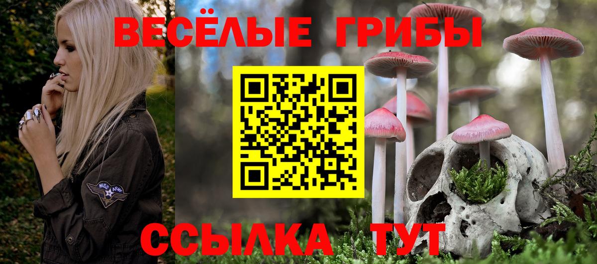 Красноуфимск  Псилоцибиновые грибы мухоморы  Вход с VPN 