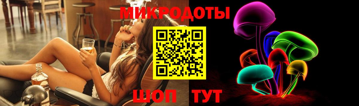 Галлюциногенные грибы Psilocybe Красноуфимск